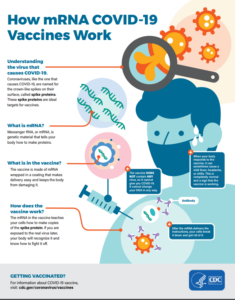 mRNA Vaccine - Gifts for Innovators